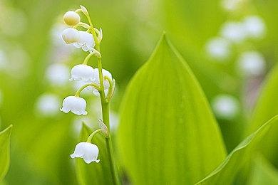 《冰汽时代1886》上架Steam：虚幻引擎 2027年发售